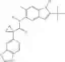Fig. 253 - MODULATORS OF ATP-BINDING CASSETTE TRANSPORTERS