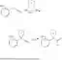 Fig. 438 - MODULATORS OF ATP-BINDING CASSETTE TRANSPORTERS