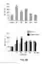 Fig. 06 - TrkB agonists and methods of use