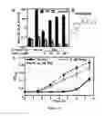 Fig. 09 - COMPOSITIONS AND METHODS FOR TREATING MICROBIAL INFECTIONS