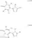 Fig. 197 - METHOD FOR INHIBITING TOPOISOMERASE II
