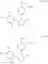 Fig. 45 - METHOD FOR INHIBITING TOPOISOMERASE II