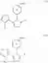 Fig. 47 - METHOD FOR INHIBITING TOPOISOMERASE II