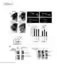 Fig. 02 - Compositions and methods for treating alzheimer's disease and other tauopathies