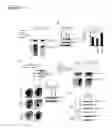 Fig. 04 - Compositions and methods for treating alzheimer's disease and other tauopathies