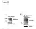 Fig. 15 - Compositions and methods for treating alzheimer's disease and other tauopathies