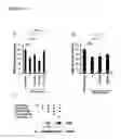 Fig. 26 - Compositions and methods for treating alzheimer's disease and other tauopathies