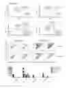 Fig. 05 - Modified immune-modulating particles