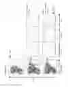 Fig. 14 - Modified immune-modulating particles