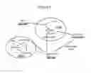 Fig. 02 - Nutritional supplement containing phospholipid-DHA derived from eggs