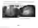 Fig. 06 - COMPOSITIONS AND METHODS FOR THE TREATMENT AND ALLEVIATION OF BONE AND CARTILAGE DISEASES OR INJURIES AND HAIR LOSS