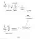 Fig. 07 - STEM CELL TREATMENT FOR RADIATION EXPOSURE