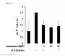 Fig. 06 - PHARMACEUTICAL COMPOSITION FOR PREVENTING OR TREATING STAT3-MEDIATED DISEASE, COMPRISING SALVIA PLEBEIA R. BR. EXTRACT OR FRACTION THEREOF AS ACTIVE INGREDIENT
