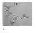 Fig. 02 - PHARMACEUTICAL COMPOSITION FOR TREATING HYPERPROLIFERATIVE DISEASES