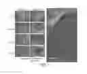 Fig. 09 - Peptide-based collagen modulators for wound healing and tissue repair