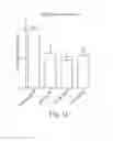 Fig. 16 - Peptide-based collagen modulators for wound healing and tissue repair