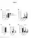 Fig. 07 - Methods and Compositions for Modulating Beta Cell Proliferation