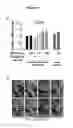 Fig. 48 - Methods and Compositions for Modulating Beta Cell Proliferation