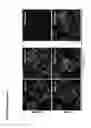 Fig. 49 - Methods and Compositions for Modulating Beta Cell Proliferation