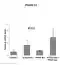 Fig. 53 - Methods and Compositions for Modulating Beta Cell Proliferation