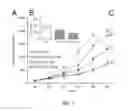 Fig. 02 - METHODS FOR TREATING CANCER WITH GHRH AGONISTS