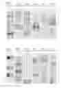 Fig. 04 - UBE2T peptides and vaccines containing the same