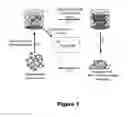 Fig. 02 - Materials and Methods for Eliciting Targeted Antibody Responses In Vivo