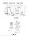 Fig. 02 - Bacterial extract for digestive or urinary tract disorders and process for its preparation