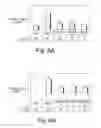 Fig. 07 - Bacterial extract for digestive or urinary tract disorders and process for its preparation