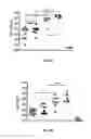 Fig. 07 - Detoxified endotoxin immunogenic compositions and uses thereof