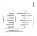 Fig. 04 - COMPOSITION AND USES THEREOF