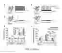 Fig. 09 - Optically controlled CNS dysfunction