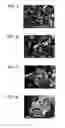 Fig. 03 - Composite particles which contain both cellulose and inorganic compound