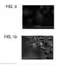 Fig. 04 - Composite particles which contain both cellulose and inorganic compound