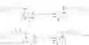 Fig. 04 - Sialic acid derivatives
