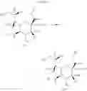 Fig. 08 - Sialic acid derivatives