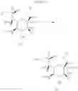 Fig. 09 - Sialic acid derivatives