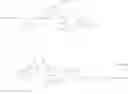 Fig. 22 - Sialic acid derivatives