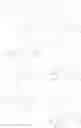 Fig. 67 - Sialic acid derivatives