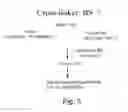 Fig. 06 - APROTININ POLYPEPTIDES FOR TRANSPORTING A COMPOUND ACROSS THE BLOOD-BRAIN BARRIER