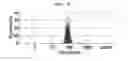 Fig. 07 - Microvesicles derived from cell protoplast and use thereof