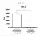 Fig. 08 - Microvesicles derived from cell protoplast and use thereof
