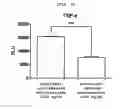 Fig. 09 - Microvesicles derived from cell protoplast and use thereof