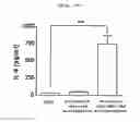 Fig. 11 - Microvesicles derived from cell protoplast and use thereof