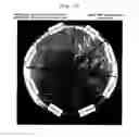 Fig. 14 - Microvesicles derived from cell protoplast and use thereof