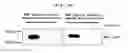 Fig. 25 - Microvesicles derived from cell protoplast and use thereof