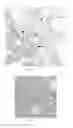 Fig. 02 - IMAGING AND THERAPEUTIC METHODS FOR TREATING PARATHYROID TUMORS