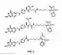 Fig. 08 - IMAGING AND THERAPEUTIC METHODS FOR TREATING PARATHYROID TUMORS