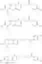 Fig. 32 - AMINO ACID DERIVATIVES AND ABSORBABLE POLYMERS THEREFROM