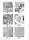 Fig. 02 - DISEASE TREATMENT VIA DEVELOPING NON-SYNGENEIC GRAFT TRANSPLANTATION